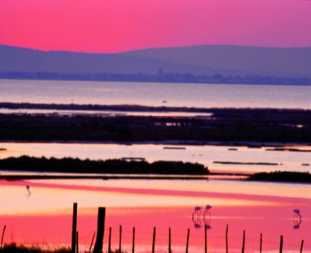 Road trip de la Camargue au Luberon