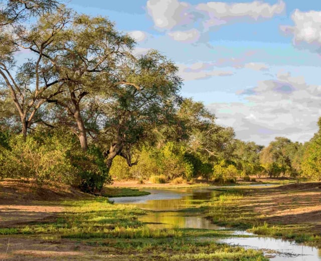 Circuit guidé - Les essentiels du Zimbabwe