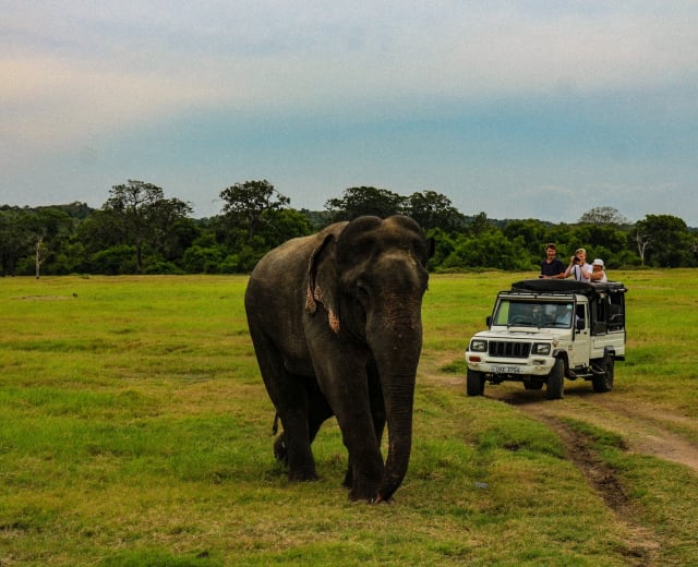 Voyage en famille au Sri Lanka