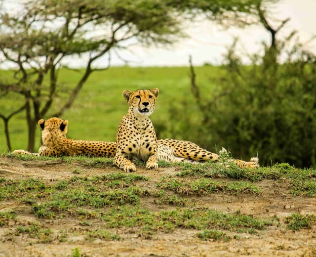 Safari de 10 jours en Tanzanie et Zanzibar