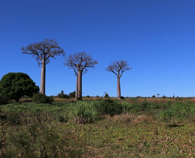 Le sud ouest de Madagascar dans son authenticité