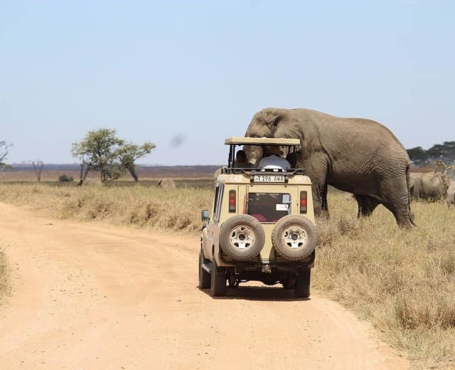 Tanzanie Safari privé et Zanzibar