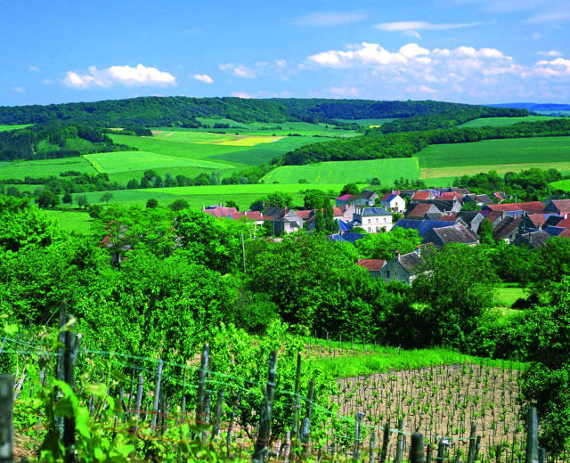 Retraite yoga Parents-Enfants dans le Morvan