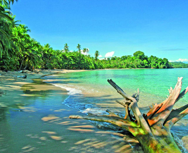 Luxe et intimité au Paradis Vert