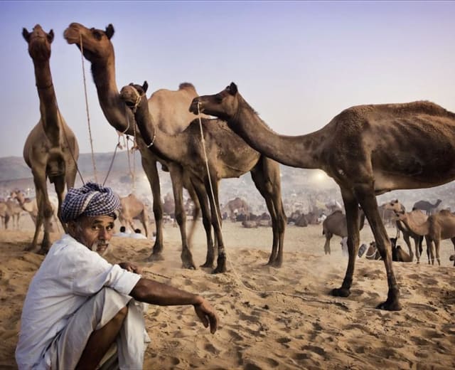 Gloire Rajput et majesté moghole : un voyage inoubliable en Inde