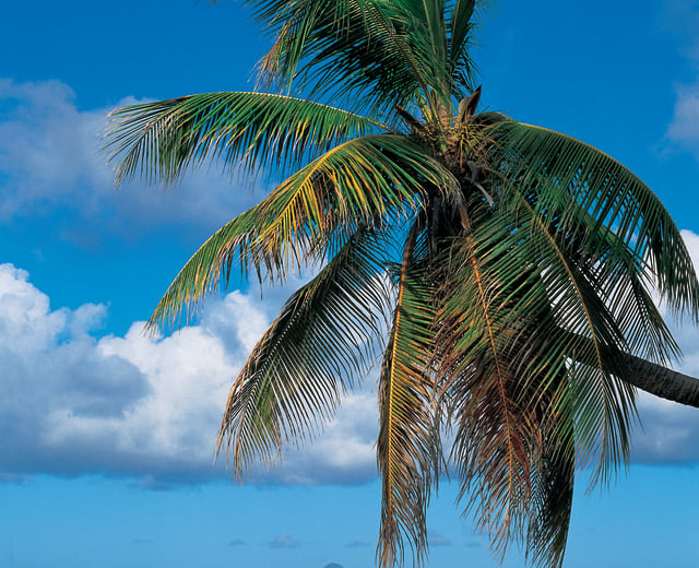 Parenthèse au paradis : séjour de charme sur une île tropicale privée