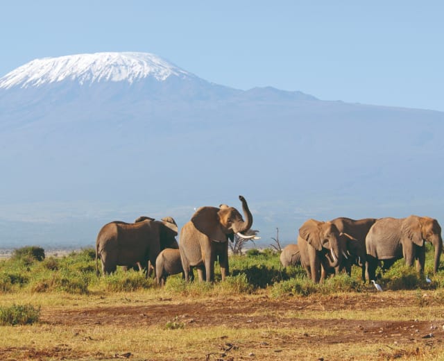 Tanzanie authentique