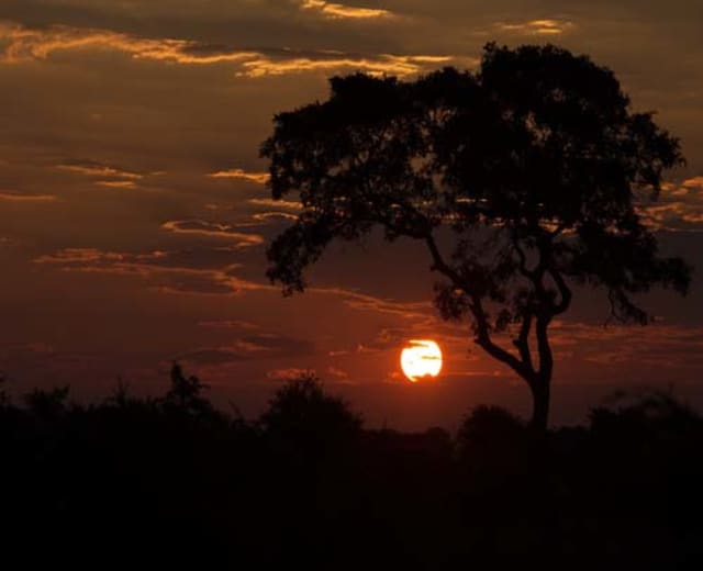 L'Essentiel de l'Afrique du Sud