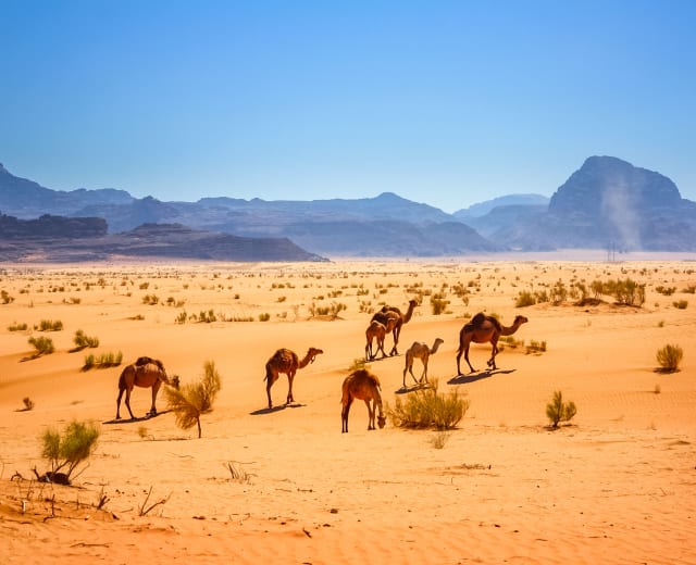 Culture et loisir en Jordanie