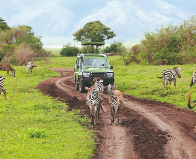 Tarangire, lac Natron, Mt Oldonyolengai, Serengeti, cratère du Ngorongoro et lac Manyara