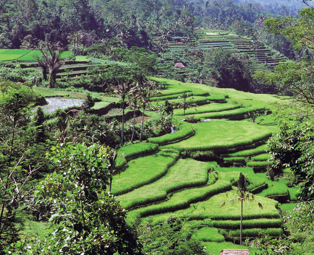 Découverte authentique de Bali en mode slow travel