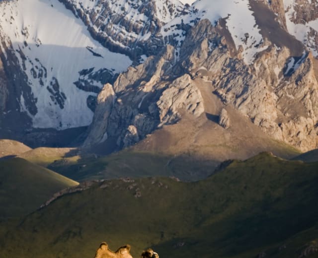 Couleurs du Kirghizistan 2021