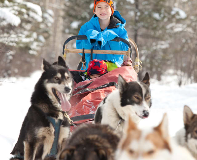 Survie avec un musher sur les traces de Jack London