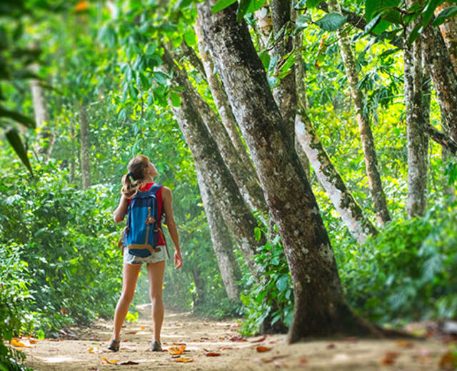 Voyage d'aventure au Costa Rica