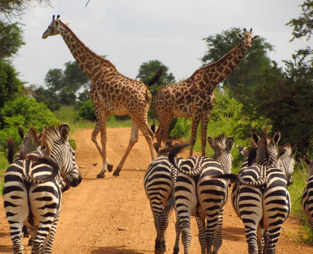 UN EXPLOIT TANZANIE