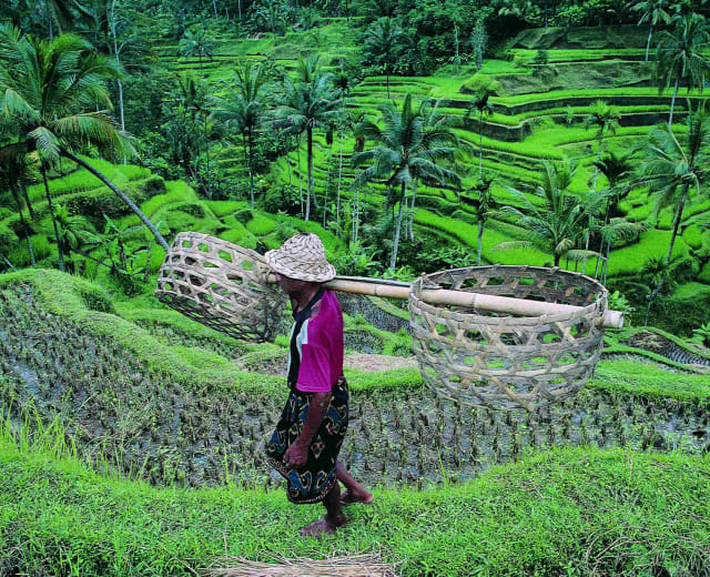 Votre voyage en famille à Bali