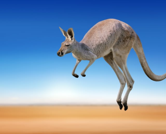 Incontournables d'Australie