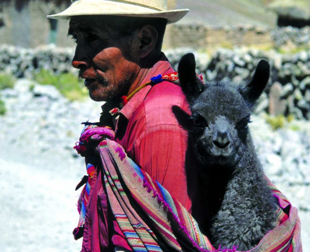 Caravane Andine Traversée des Andes au rythme des mules de l'Altiplano