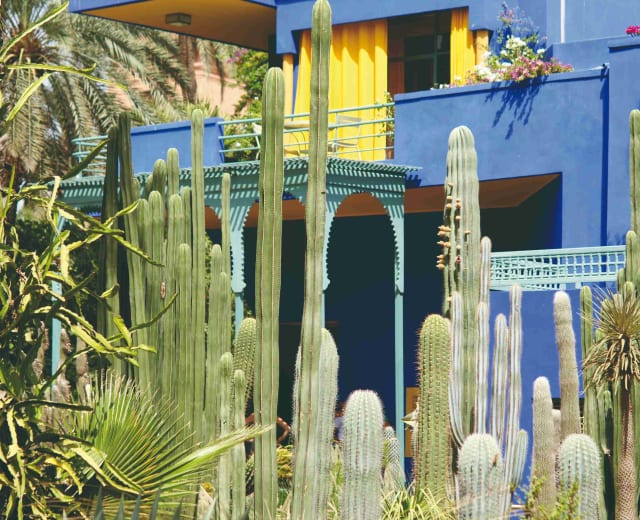 Marrakech Essaouira et Montagne de l'Atlas sur 1 semaine