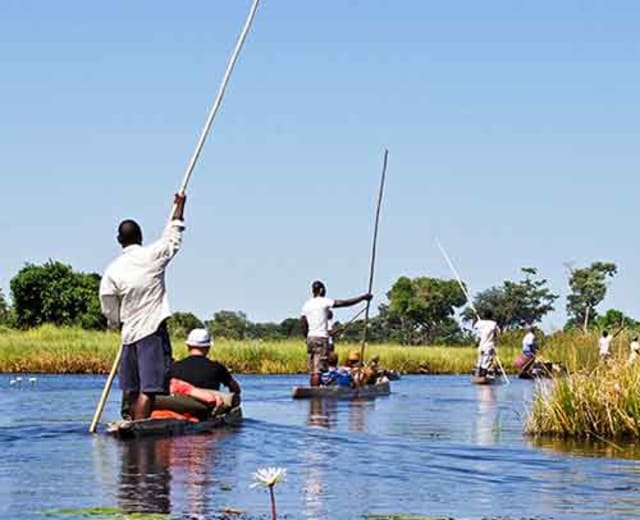 11 jours de safari au Botswana