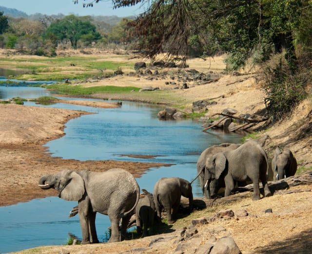 Les incontournables de la Tanzanie