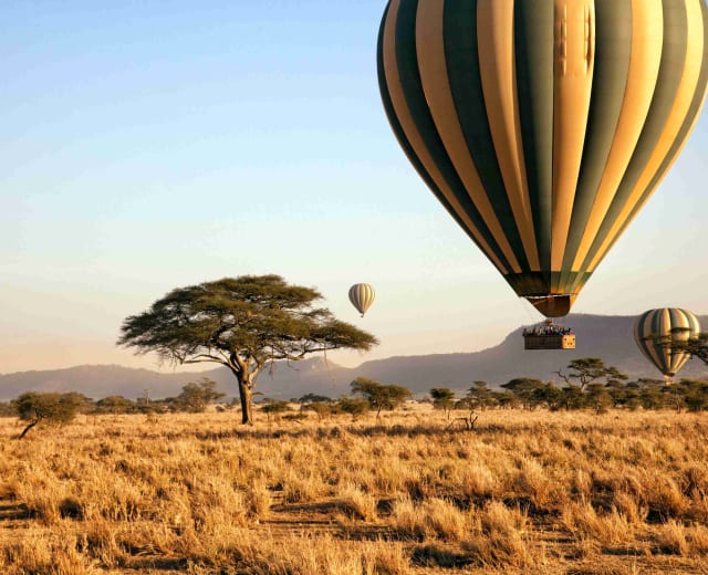 4 JOURS ENTRE LE SERENGETI ET LE NGORONGORO - SAFARI STANDARD
