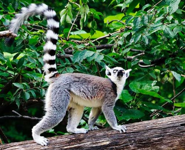 Les secrets de la  Route Nationale 7 de Madagascar