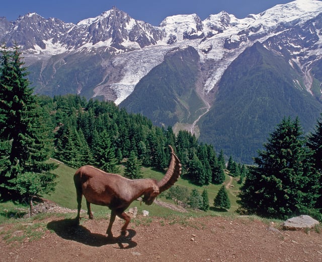 A la découverte des Alpes