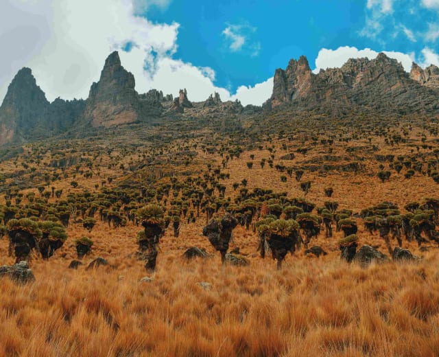 Le parc national du Serengeti