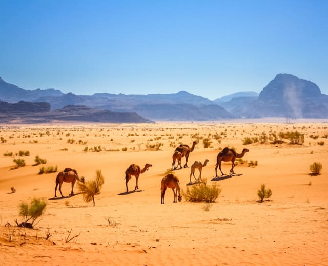 Le meilleur de la Jordanie en une semaine