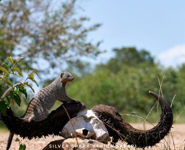 4-Day Game Maasai Mara with Lake Naivasha Geographical