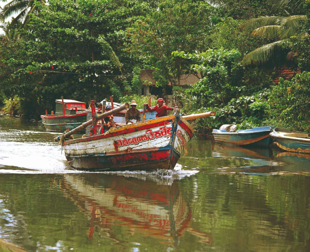 Escapade romantique au Sri Lanka