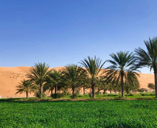 Oman, Mille et une nuits
