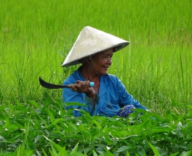 Le Cambodge entre amis