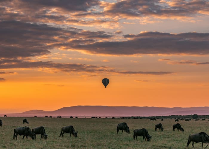 Option - Safari en ballon dans le Serengeti et observation des animaux sauvages