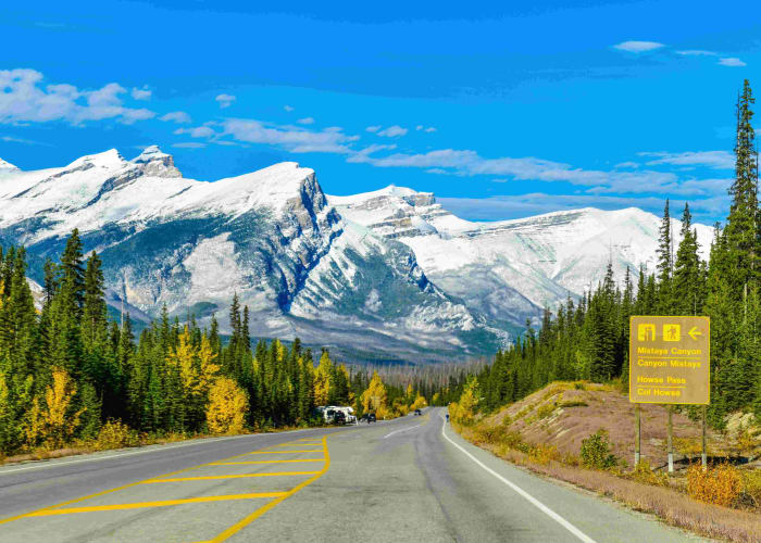 Jasper - Columbia icefield