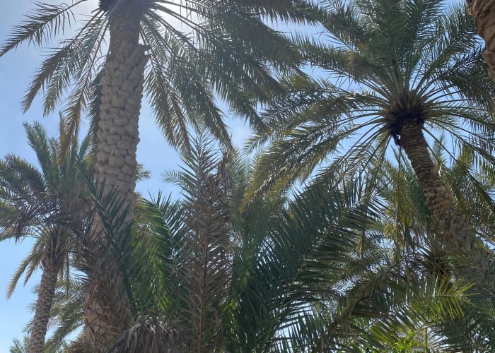 Wadi Bani Khalid Wahiba Sands: 285 km