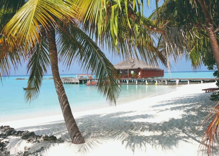 Bungalow Deluxe Front de Mer