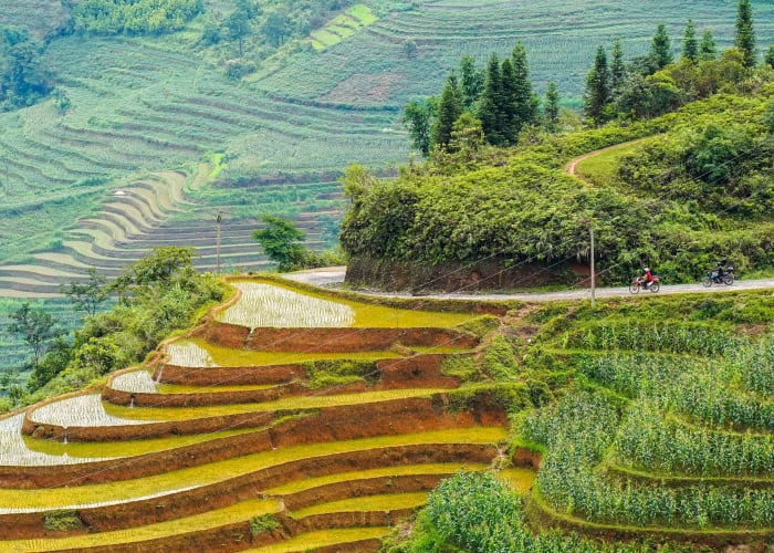 Jour 2: Vu Linh - Bac Ha : 190km