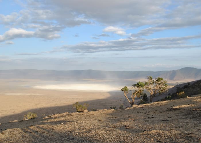 Explorer le cratère du Ngorongoro