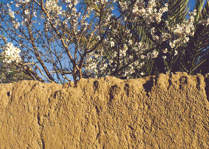 Skoura - Tineghir