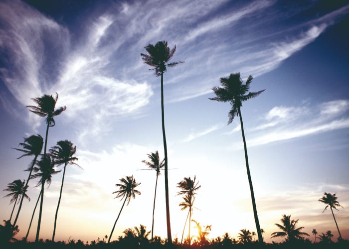 Alentours d'ELLA - BATTICALOA : Safari en bateau