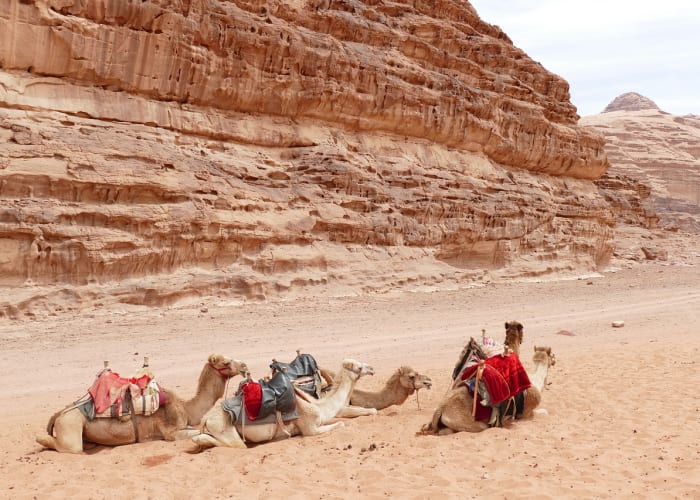 11eme jour : WADI RUM (SIQ ALBARRAH - BURDAH)