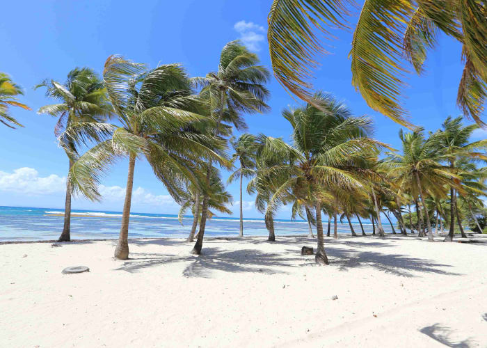 Arrivée en Guadeloupe - Saint François