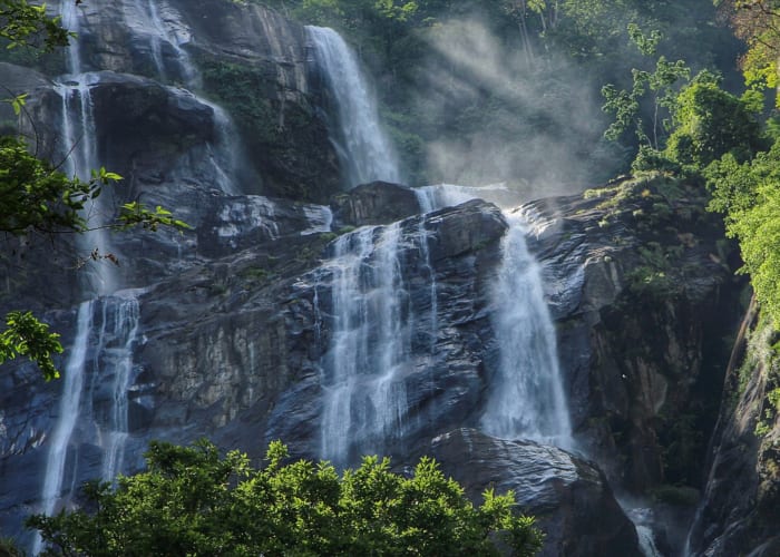 Randonnée à Udzungwa - Cascades de Sanje