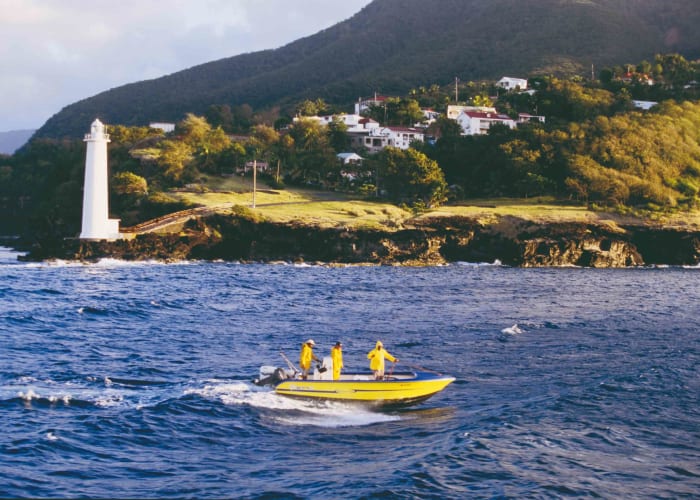 Kayak avec les tortues et jardins enchantés en Basse Terre