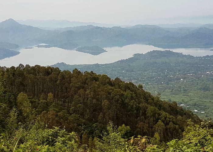 Trekking avec des Singes et balade en canoë