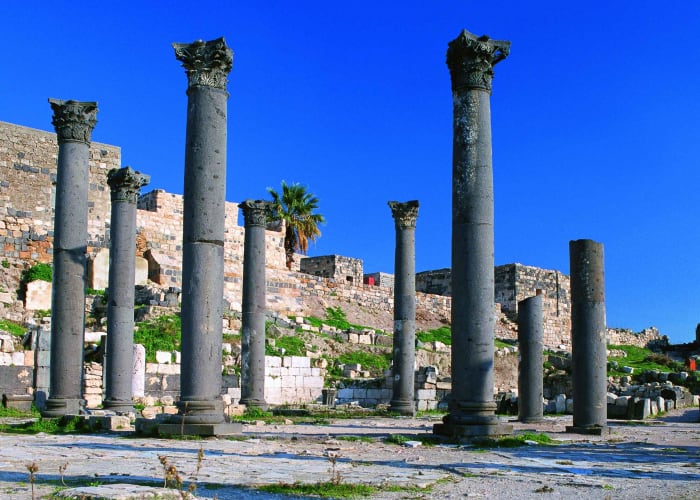 Umm Qais - Vallée du Jourdain - Mer Morte - Madaba