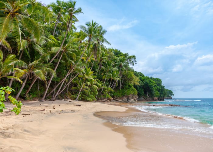 Arrivée (Negombo)