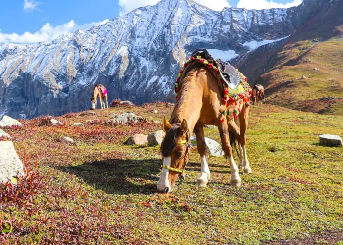 Besham ou Naran